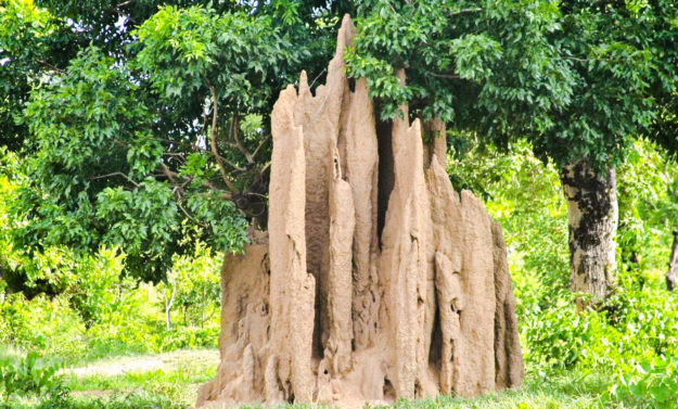 3 ways to attract success 3 ways to attract success