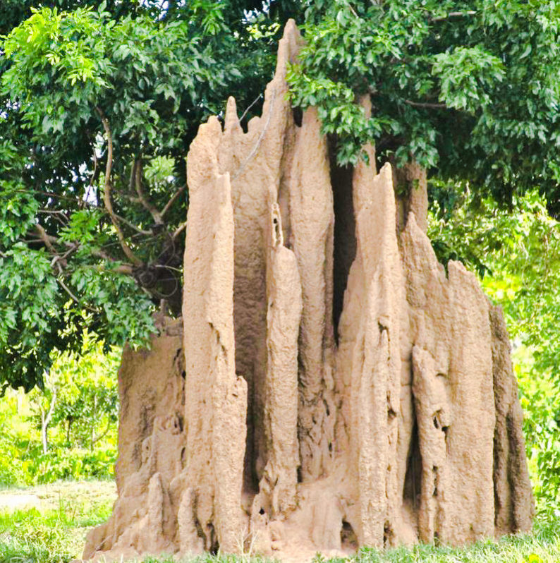 3 ways to attract success